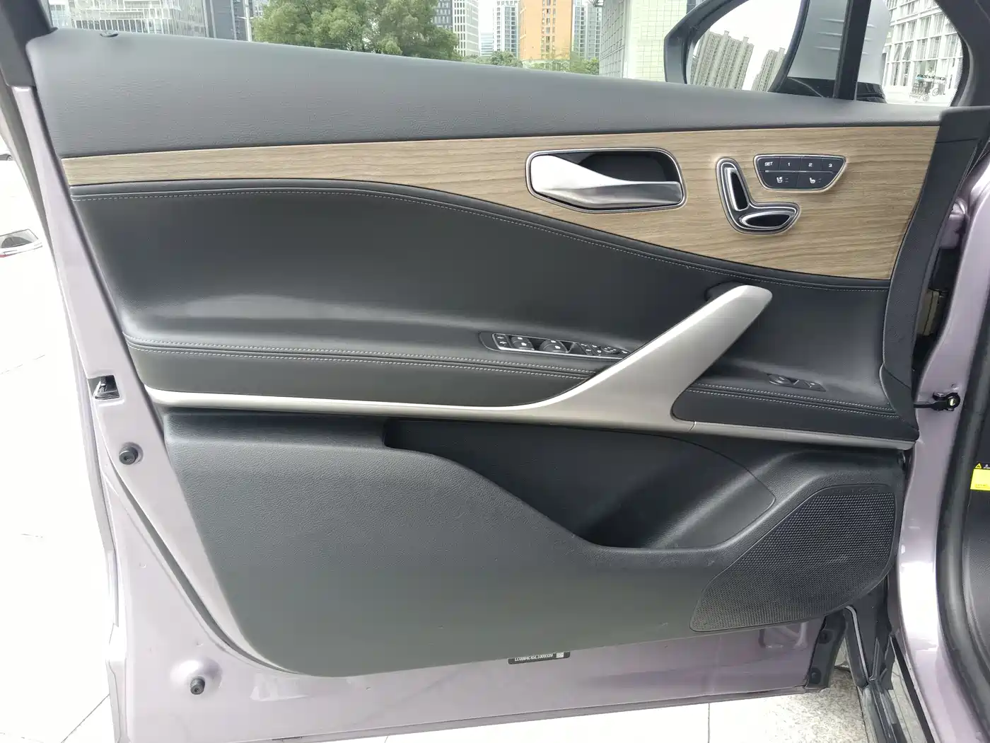 Denza X 2020 Model PHEV Flagship Edition фото 14