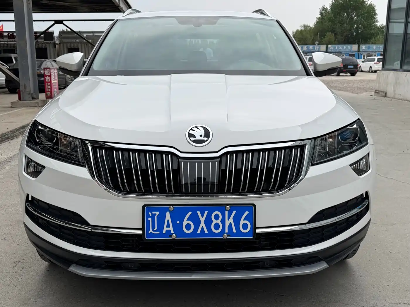 Škoda Karoq 2019 TSI280 Smart Drive Luxury Edition China V фото 2