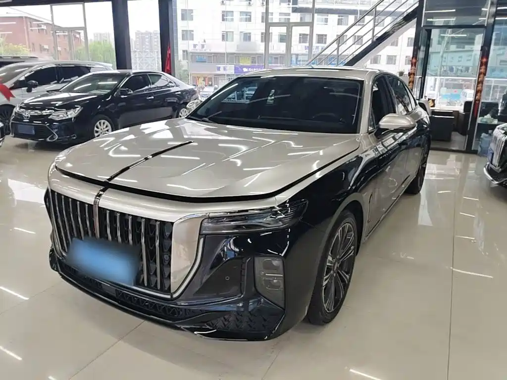 Hongqi H9 2025 2024 2.0T Qi Enjoy Private Fashion Edition