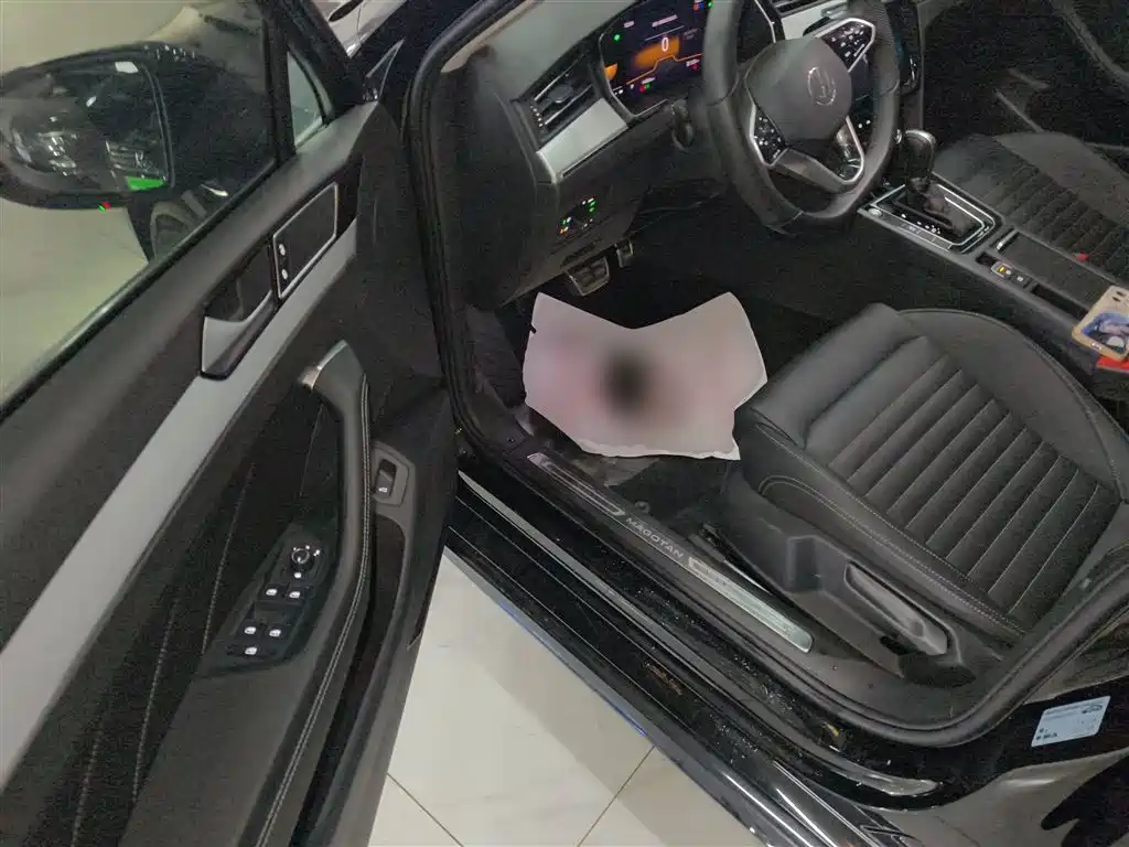 Volkswagen Magotan 2025 Popular Edition 280TSI DSG Comfort фото 12