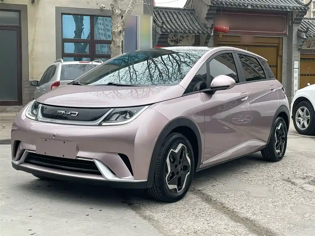 BYD Dolphin 2021 Model 405km Fashion Edition
