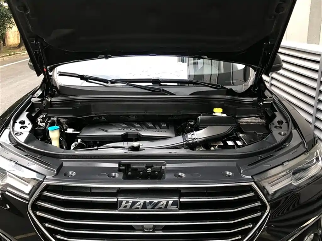 Haval H6 2019 1.5GDIT Automatic Champion Edition China V фото 4