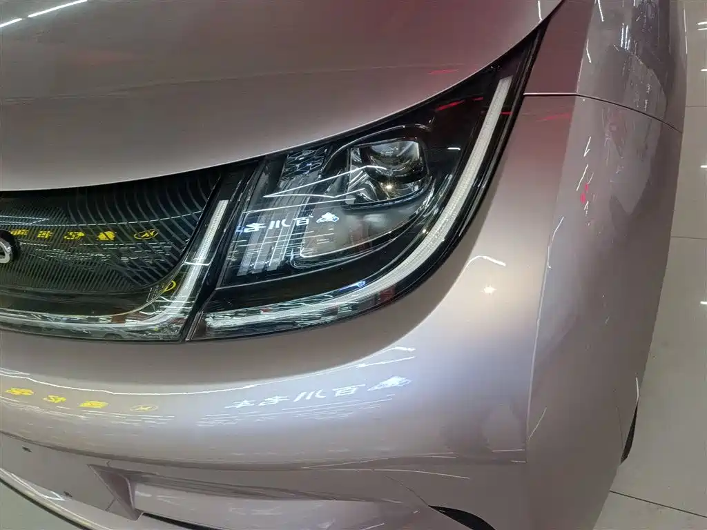 BYD Dolphin 2021 Model 405km Fashion Edition фото 3