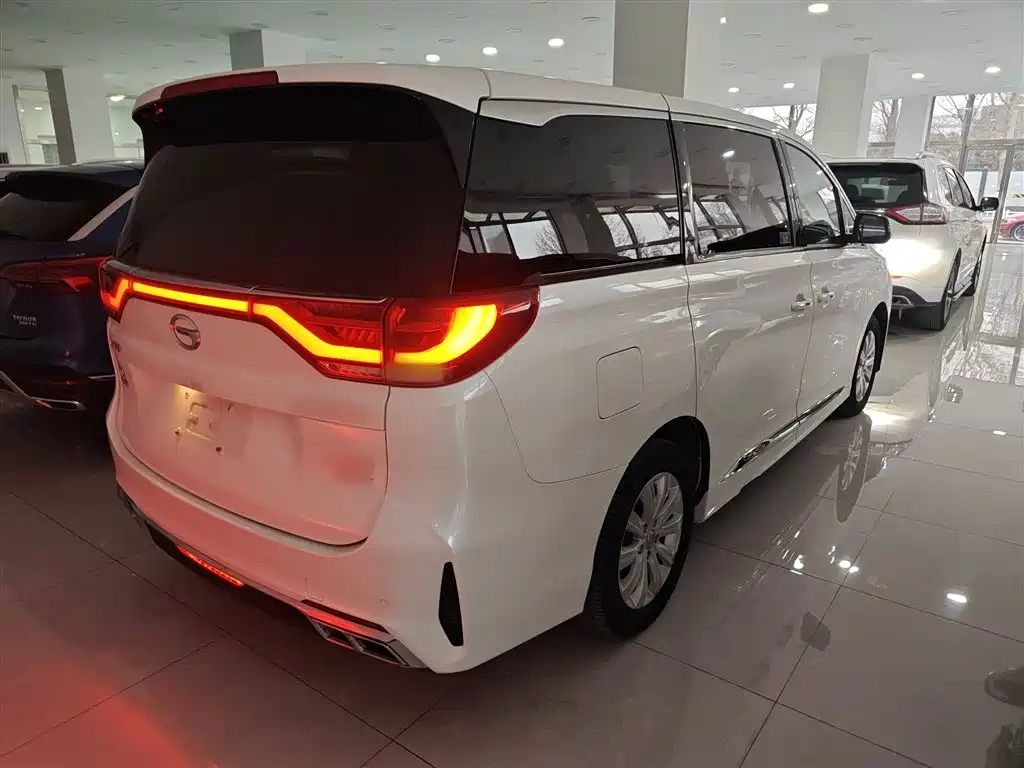 GAC Trumpchi Trumpchi M8 2020 Pilot 390T Premium Edition фото 7