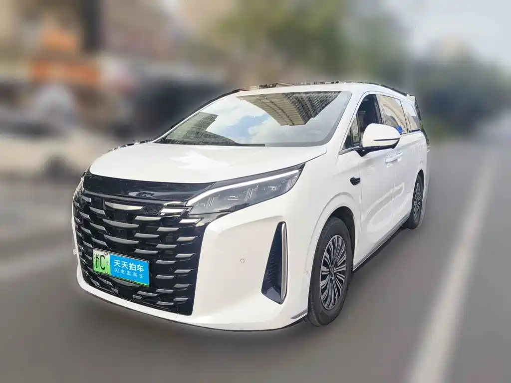 BYD Xia 2025 DM-i 1.5T 180km Surpass Edition