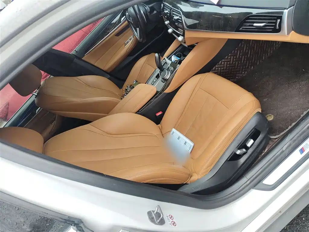 BMW 5 Series 2020 530Li Exclusive M Sport Package фото 25
