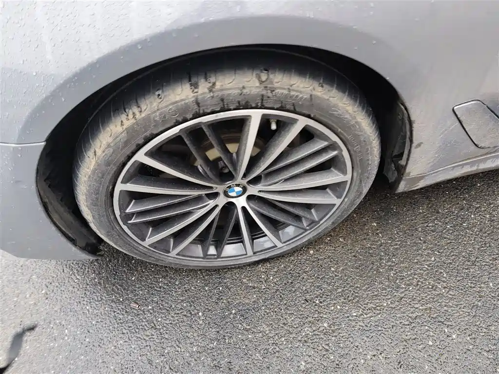 BMW 5 Series 2020 530Li Exclusive M Sport Package фото 23