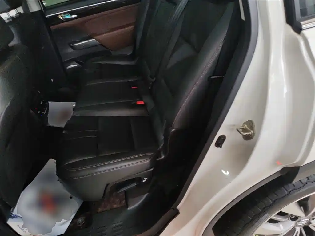 GAC Trumpchi Trumpchi GS8 2017 320T 2WD Luxury Smart Connect (7-seater) фото 17