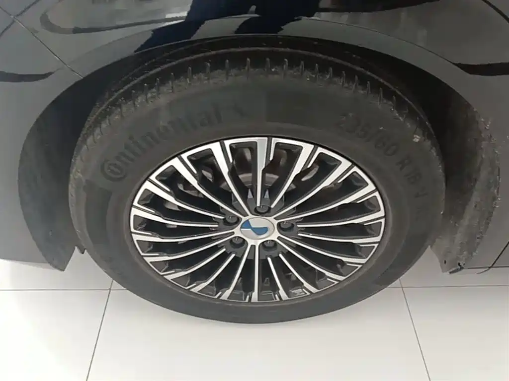 Denza D9 2022 DM-i 970 All-Wheel Drive Honor Edition фото 23