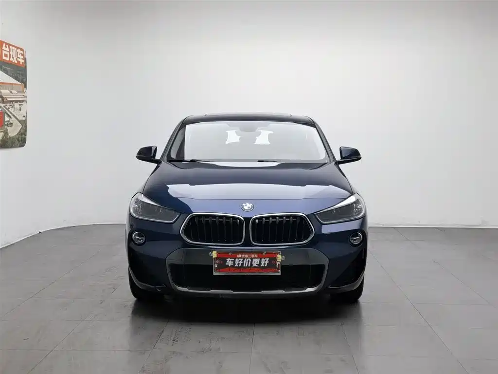 BMW X2 (Import) 2019 sDrive20i M Off-Road Package China VI фото 3