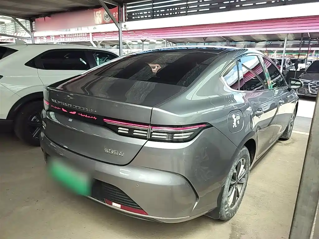 BYD Destroyer 05 2024 Glory Edition DM-i 55KM Luxury фото 7