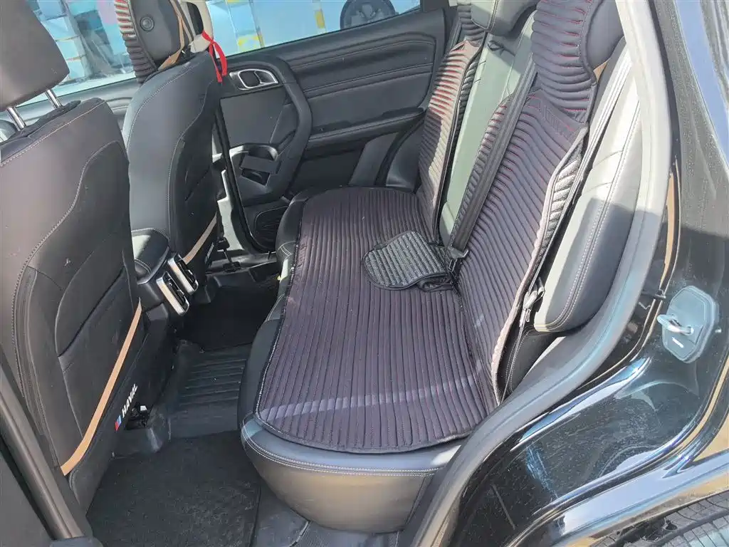 Haval Big Dog 2024 1.5T DCT Border Collie Edition фото 17