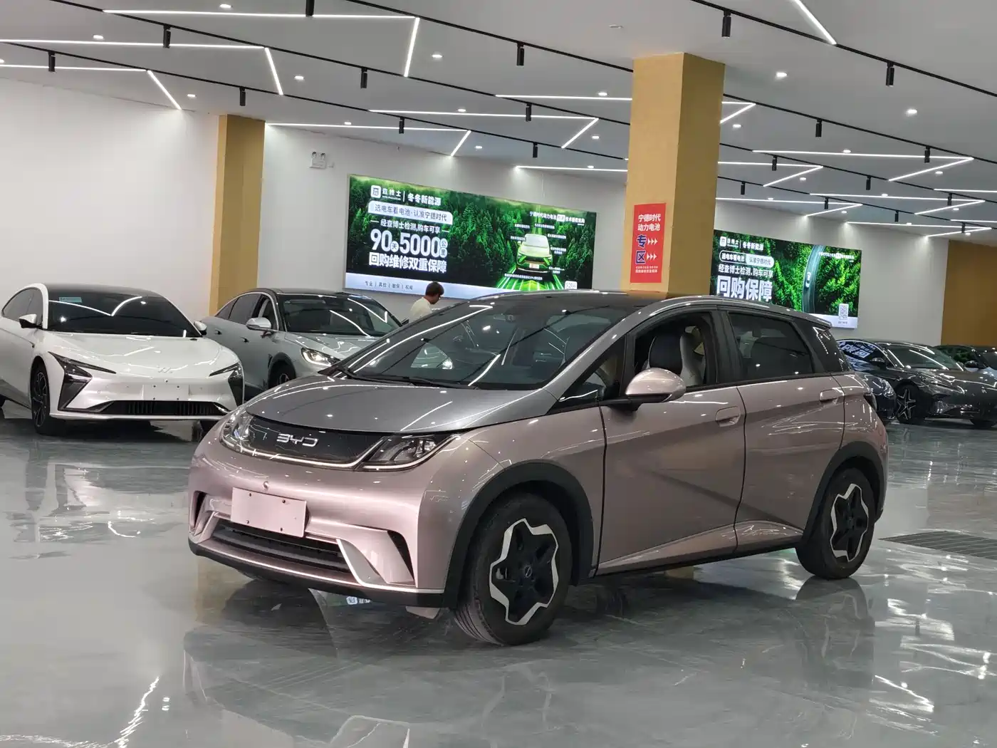 BYD Dolphin 2021 405km Freedom Edition