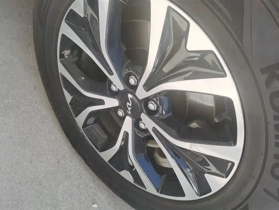 Kia Carnival 2021 2.0T Flagship Edition фото 6