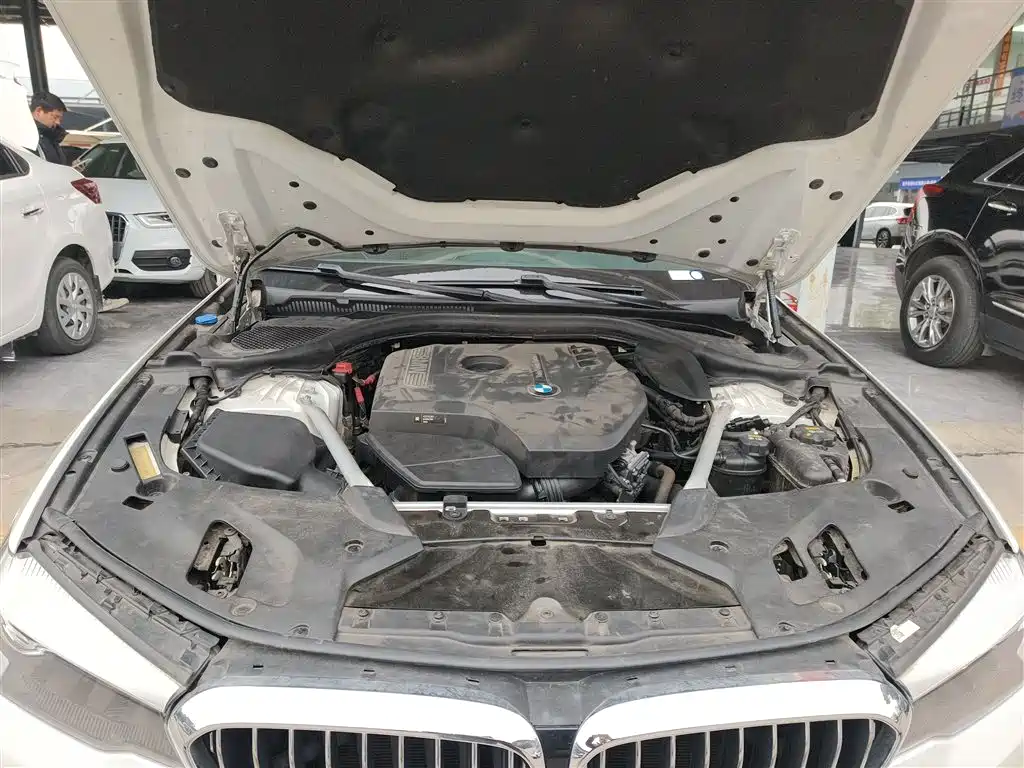 BMW 5 Series 2018 Facelift 530Li Leading Luxury Package фото 16