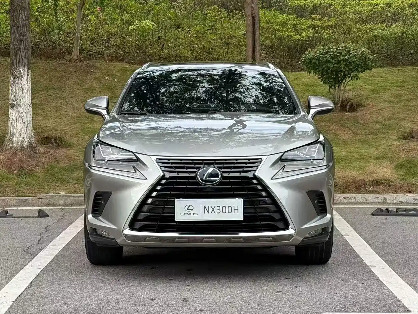 Photo 2 - Lexus NX
