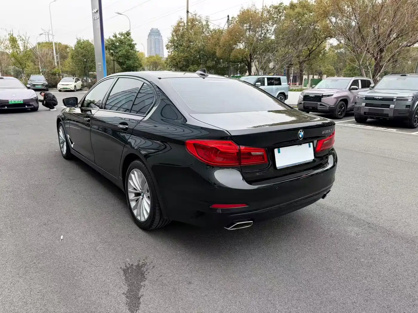 BMW 5 Series 2019 530Li Premium Luxury Package фото 12