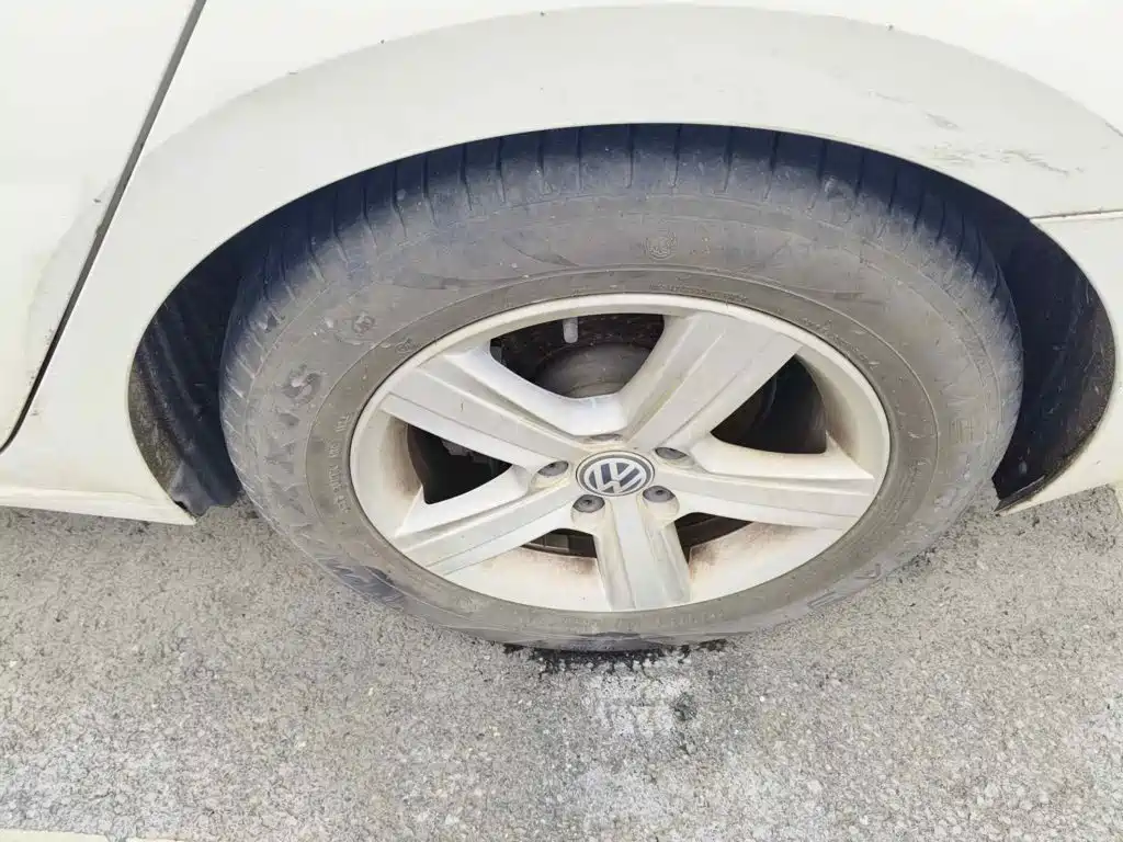 صورة 7 - Volkswagen Lamando