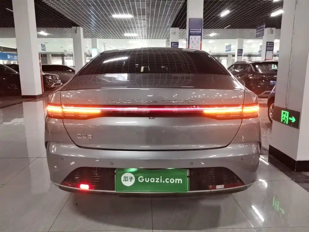 BYD Destroyer 05 2024 Glory Edition DM-i 55KM Luxury фото 6
