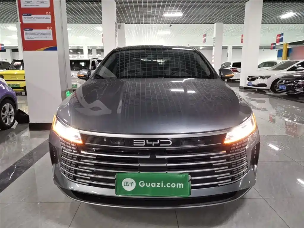 BYD Destroyer 05 2024 Glory Edition DM-i 55KM Luxury фото 3