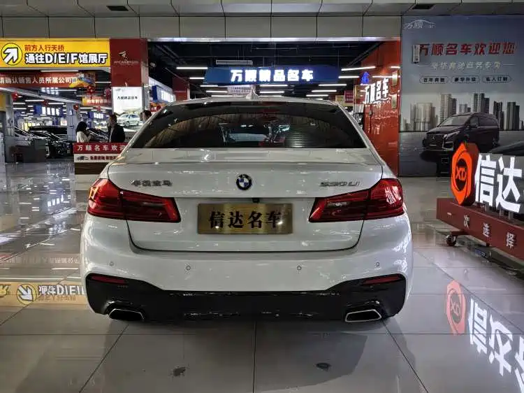 BMW 5 Series 2020 530Li Exclusive M Sport Package фото 17