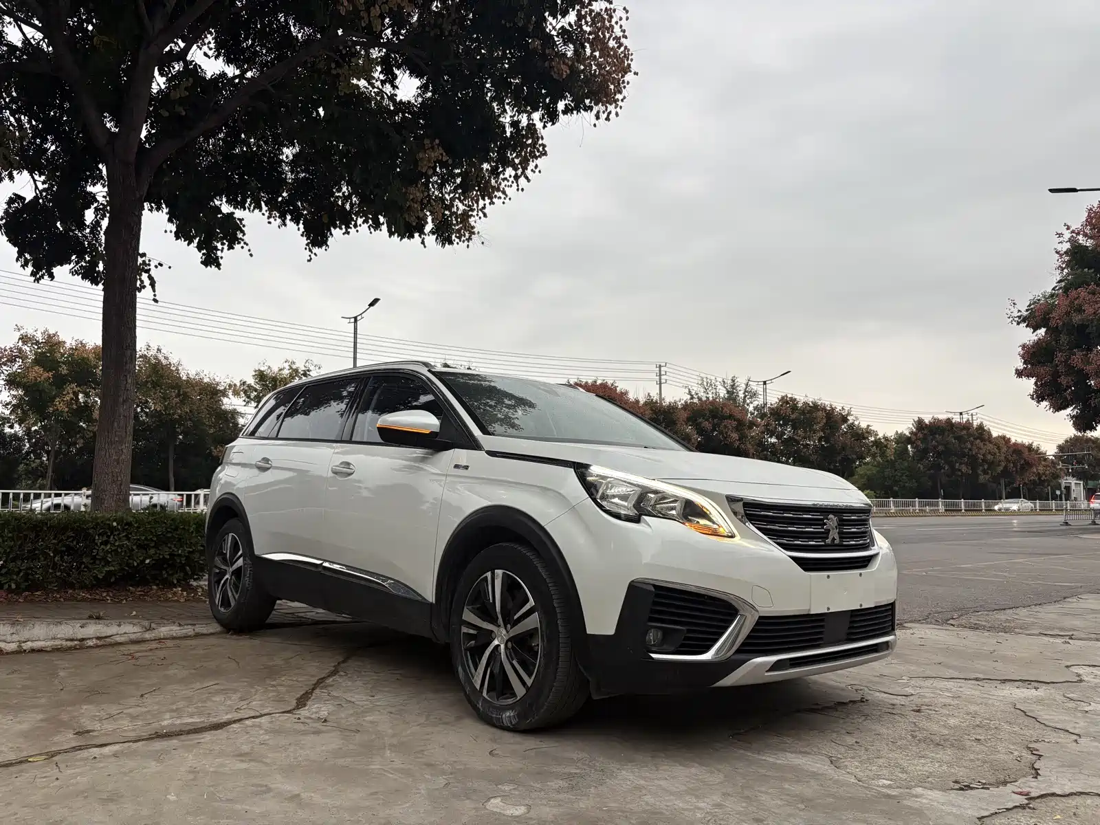 صورة 6 - Peugeot 5008