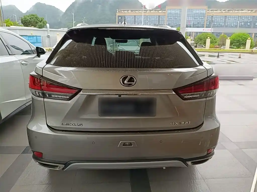 Lexus RX 2020 300 4WD Elegance Edition China VI фото 6