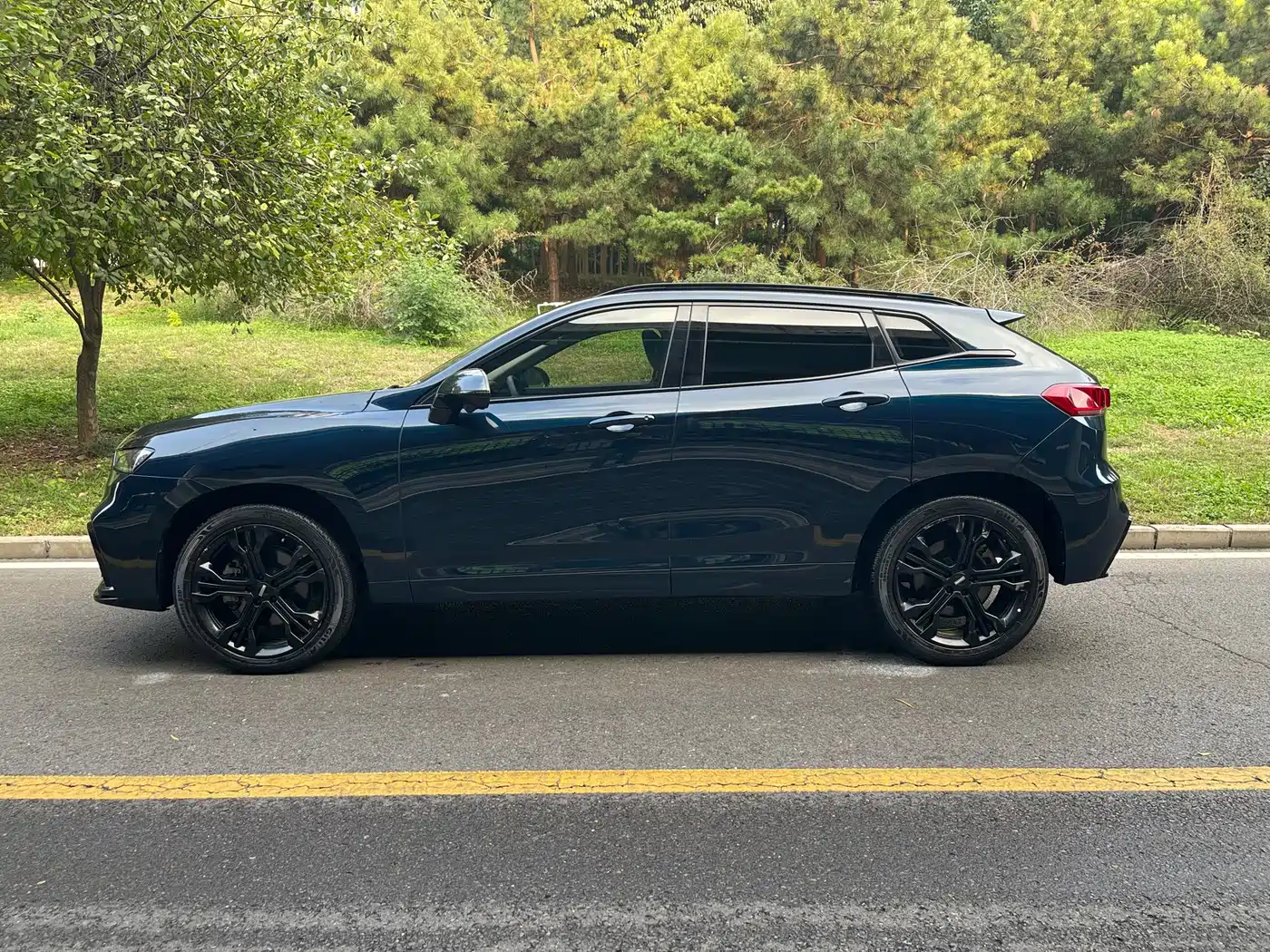 WEY VV7 2020 2020 Model 2.0T Flagship