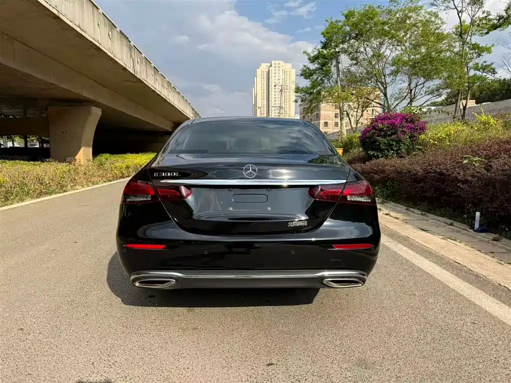 Mercedes-Benz E-Class 2023 E 300 L Luxury фото 8