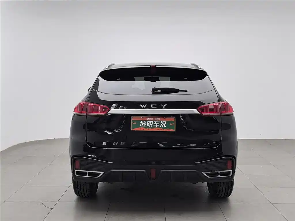 WEI PAI WEI BRAND VV5