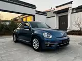 صورة 4 - Volkswagen Beetle