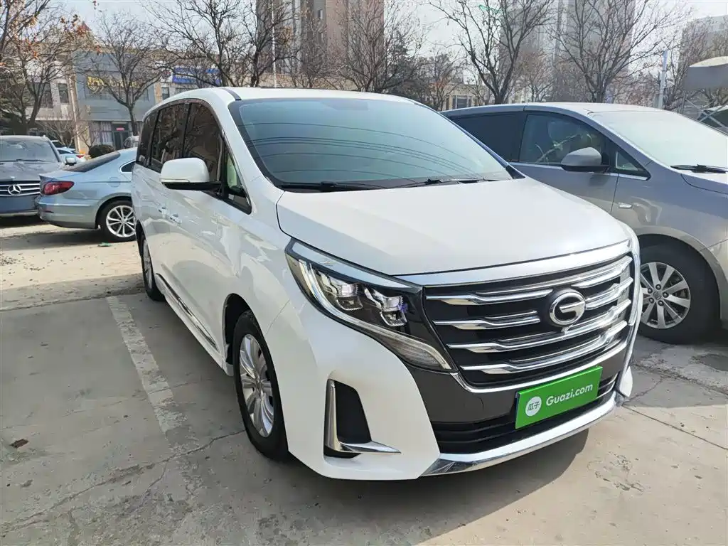 GAC Trumpchi Trumpchi M8 2020 Pilot 390T Premium Edition фото 4