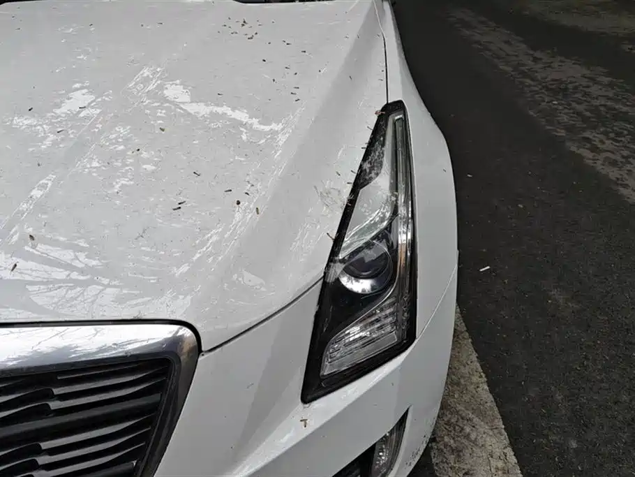 Cadillac ATS-L 2017 28T Technology фото 5