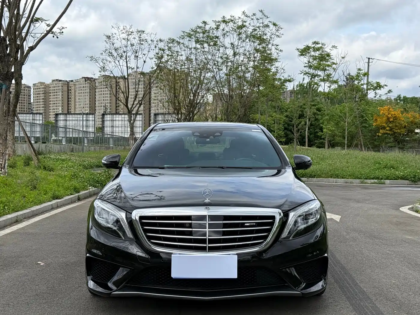 Mercedes-Benz S-Class AMG 2014 AMG S 63 L 4MATIC фото 2