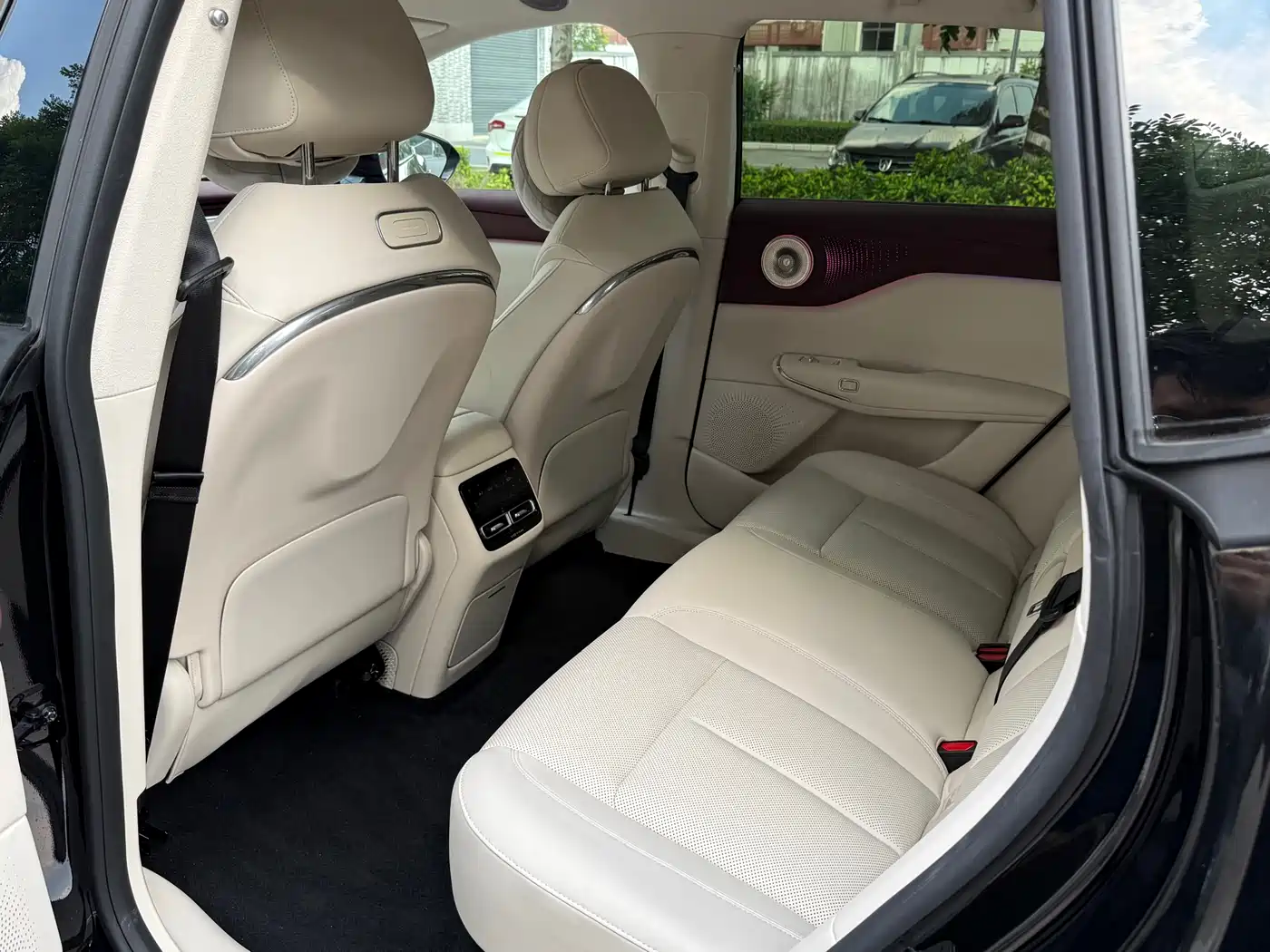 Voyah Auto Voyah Zhiyin 2025 Base фото 10