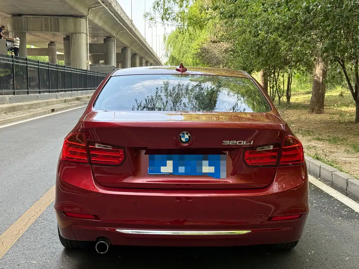 BMW 3 Series 2014 320Li Luxury Design Package фото 4