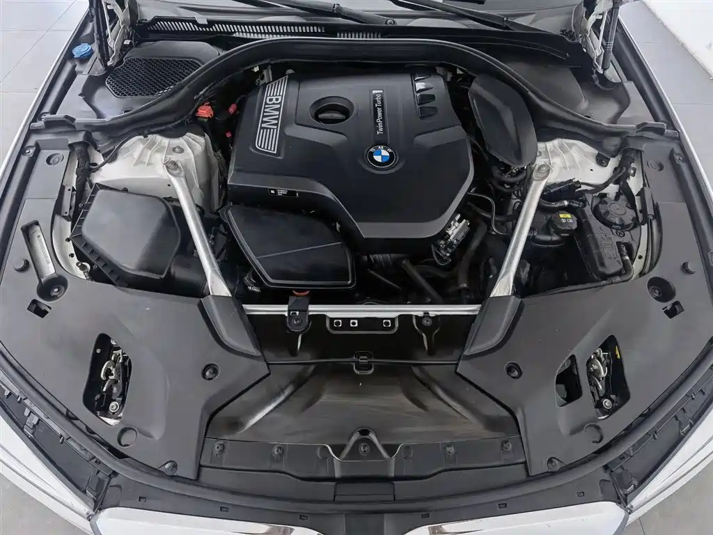 BMW 5 Series 2020 530Li Leading M Sport Package фото 6