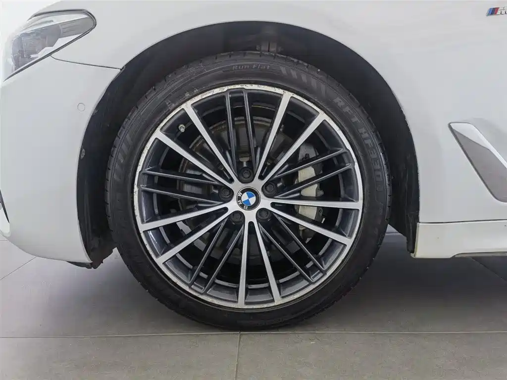 BMW 5 Series 2020 530Li Leading M Sport Package фото 17