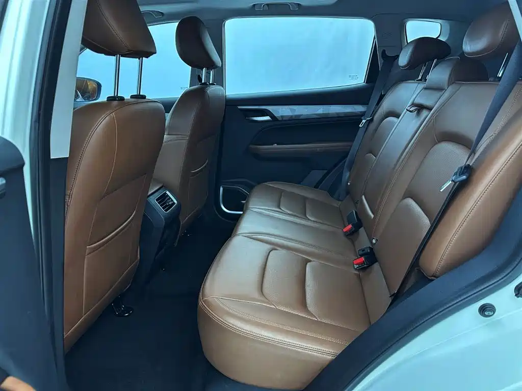 GEELY AUTOMOBILE VISION X6