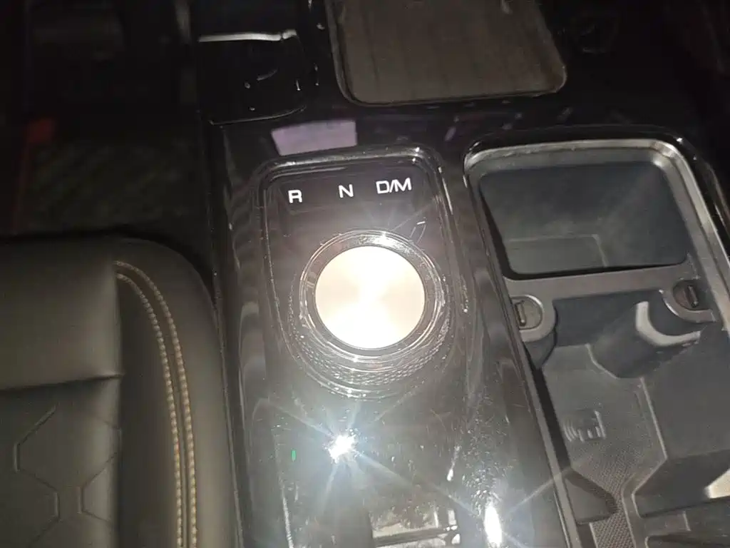Haval Big Dog 2022 1.5T DCT FWD Border Collie Edition фото 14