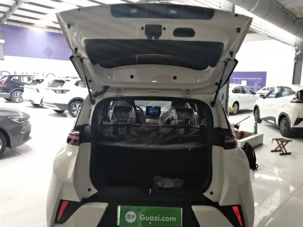 BYD Seagull 2025 Smart Drive Edition 305km Vitality Version фото 19
