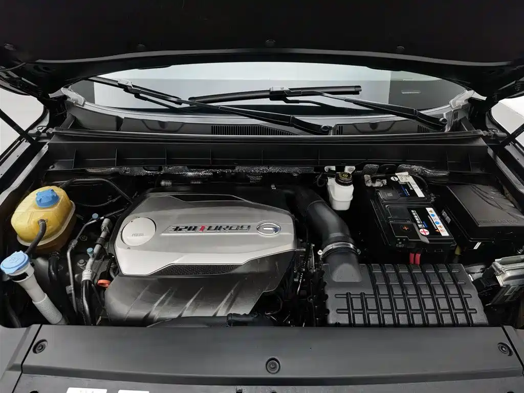 GAC Trumpchi Trumpchi GS8 2017 320T 2WD Luxury Smart Connect (7-seater) фото 6