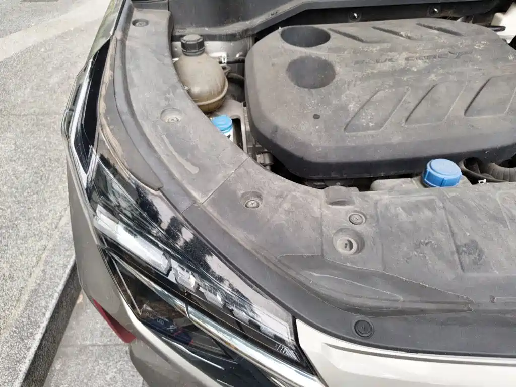 Changan Oshan Z6 2022 2022 Blue Whale 1.5T DCT Intelligent Leader