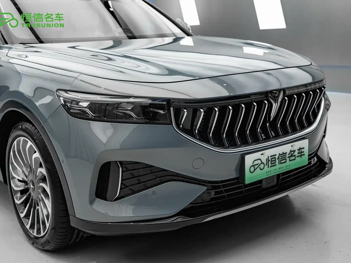Voyah Auto VOYAH FREE 2021 4WD Extended Range Launch Edition Exclusive Luxury Package фото 9