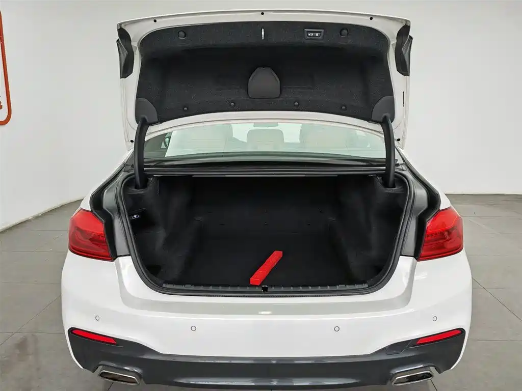 BMW 5 Series 2018 530Li Premium M Sport Package фото 16