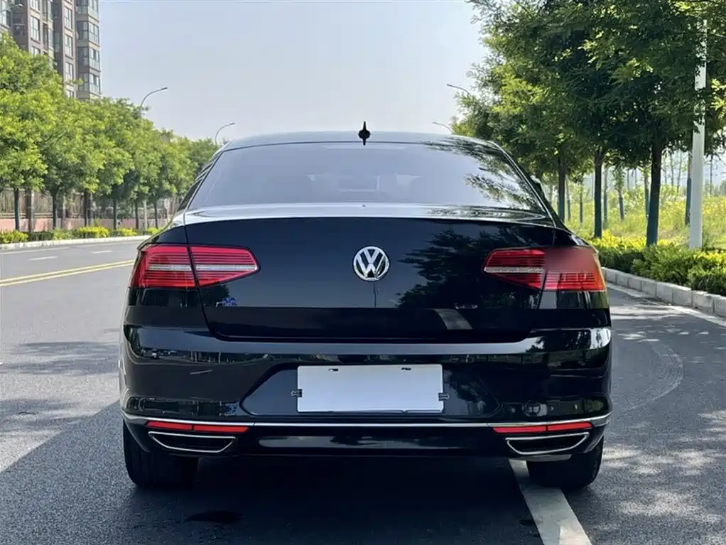 Volkswagen Magotan 2019 330TSI DSG Luxury China V фото 15