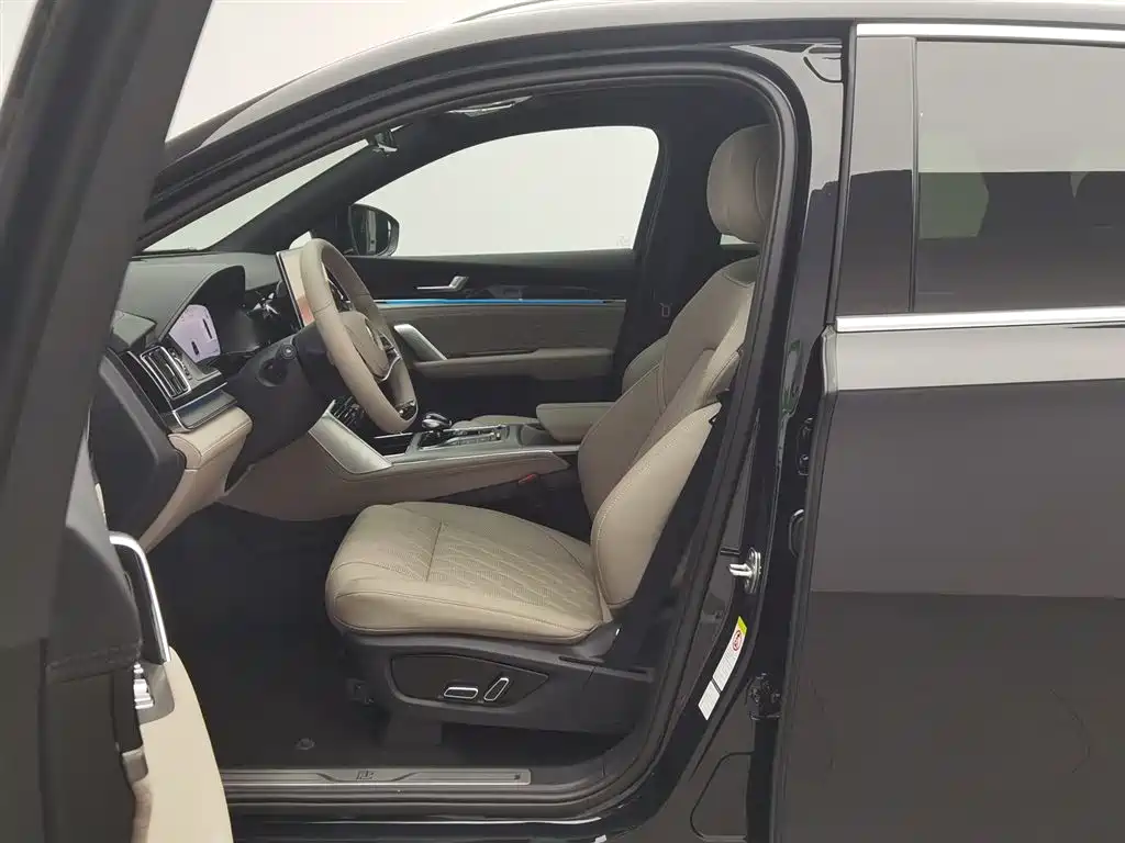BYD Tang New Energy 2025 DM-i 115KM Prestige Type фото 10