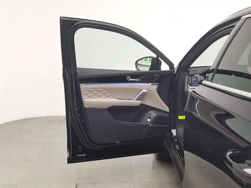 BYD Tang New Energy 2025 DM-i 115KM Prestige Type фото 8