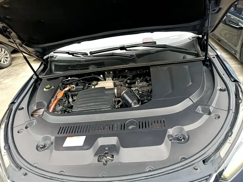 BYD Song New Energy 2019 Song DM 1.5TID Smart Connection Sharp фото 20