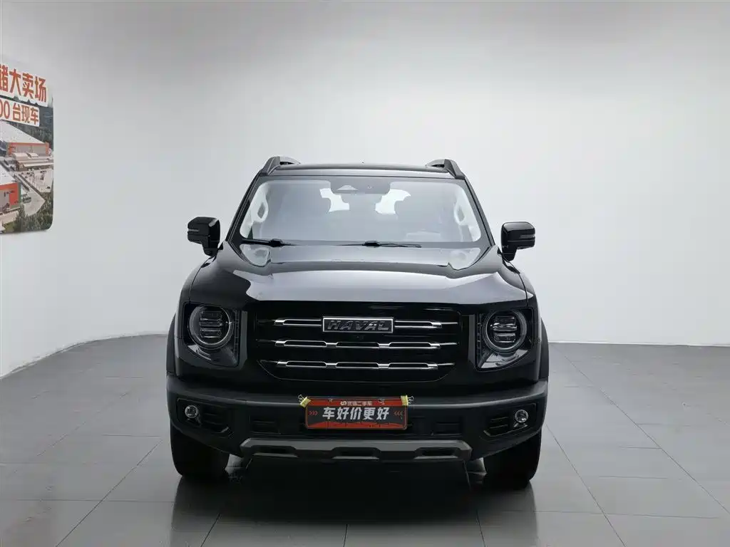 HAVAL BIG DOG
